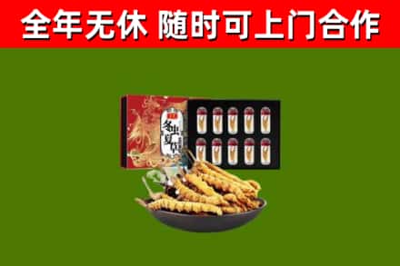 廊坊市回收冬虫夏草价格